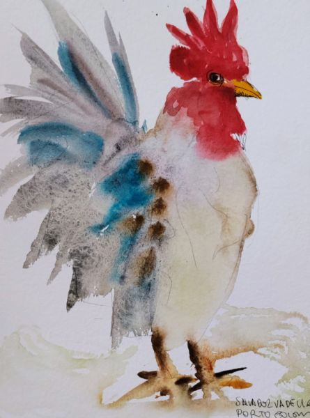 Blue and Red Rooster