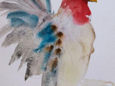 Blue and Red Rooster