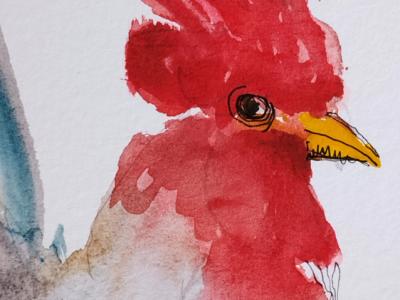 Blue and Red Rooster