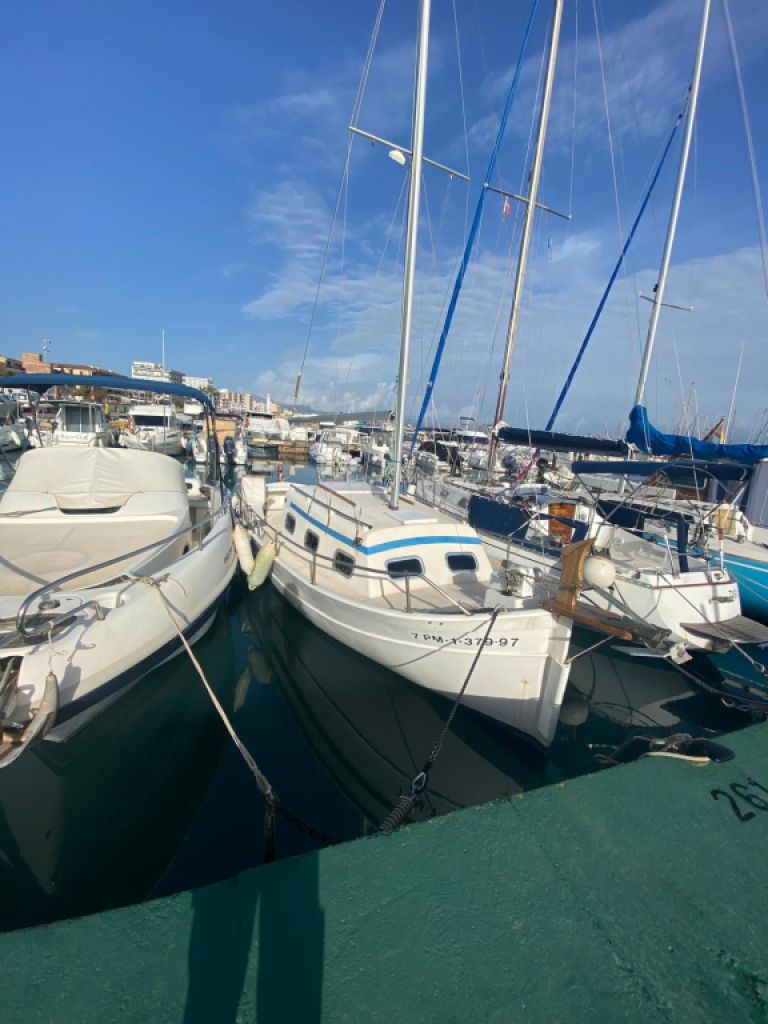 Boot, mallorquinischer Klassiker, Llaut