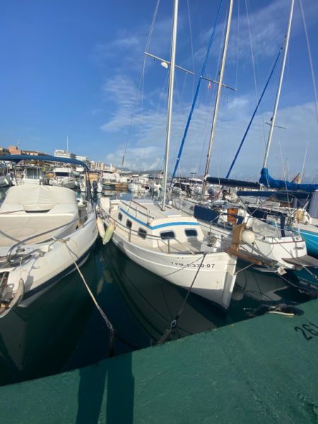 Boot, mallorquinischer Klassiker, Llaut