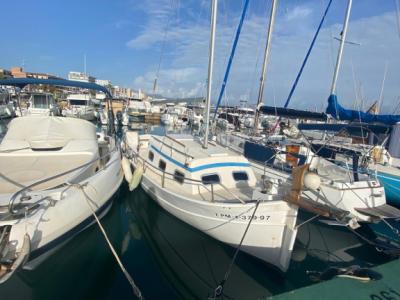 Boot, mallorquinischer Klassiker, Llaut