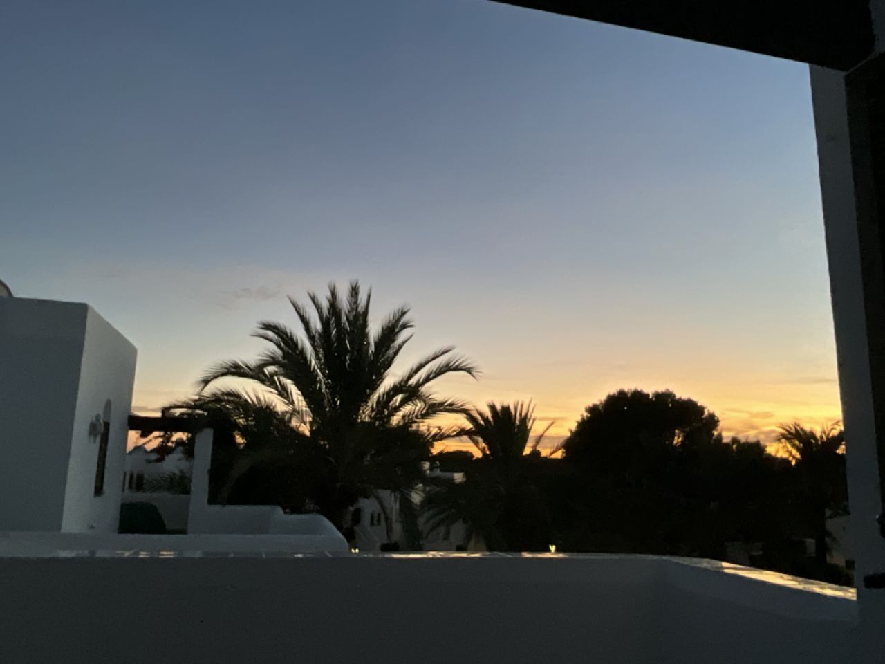 Cala dòr - Busco un pequeño terreno con una palmera como jardín