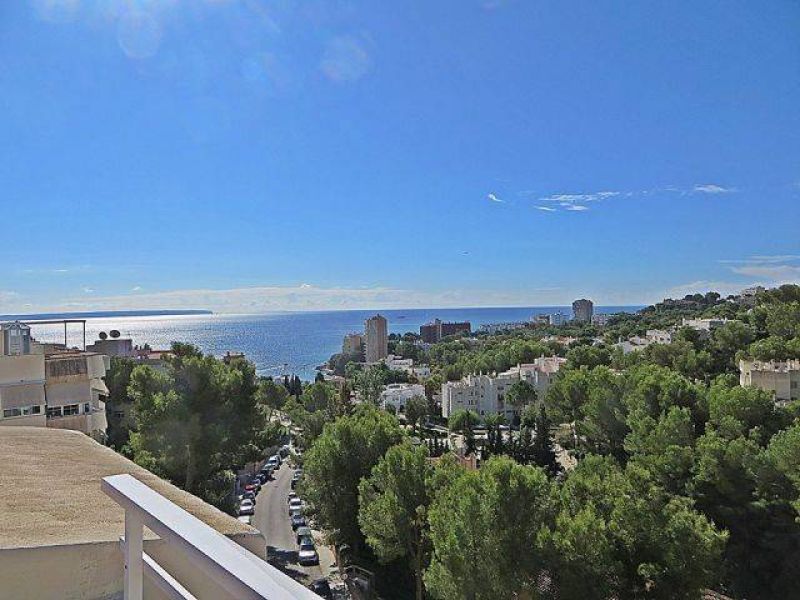 Apartamento de Lujo en Cas Catala