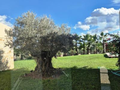 Charmante Finca in der Nähe der Rafa Nadal Schule – Manacor