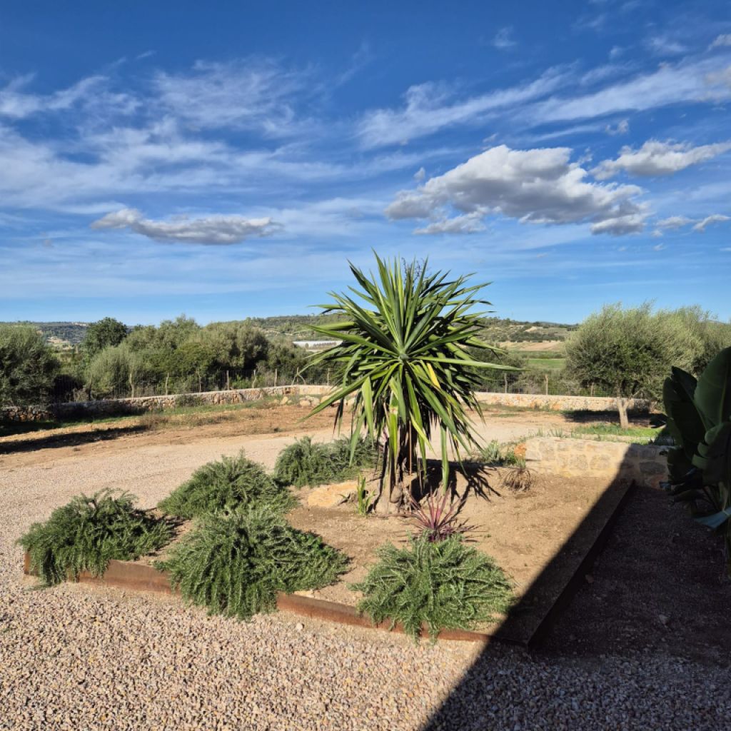 Charmante Finca in der Nähe der Rafa Nadal Schule – Manacor