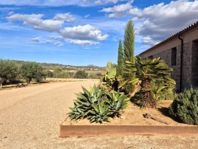 Encantadora finca cerca de la escuela Rafa Nadal – Manacor