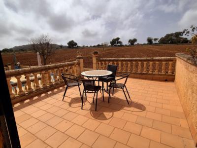 Charming Rustic House with Pool – Temporary Winter Rental