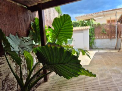 Charmantes Reihenhaus in der besten Wohngegend von Porto Cristo