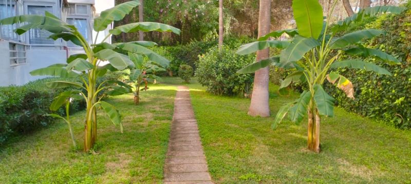 COSTA DE LA CALMA (SANTA PONSA): Renovierungsbedürftiges Studio fussläufig zum Strand