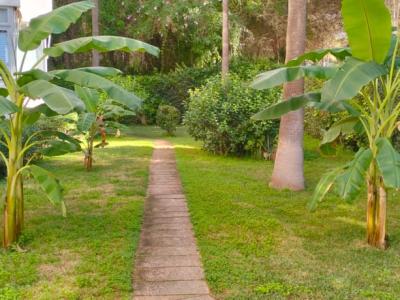 COSTA DE LA CALMA (SANTA PONSA): Renovierungsbedürftiges Studio fussläufig zum Strand