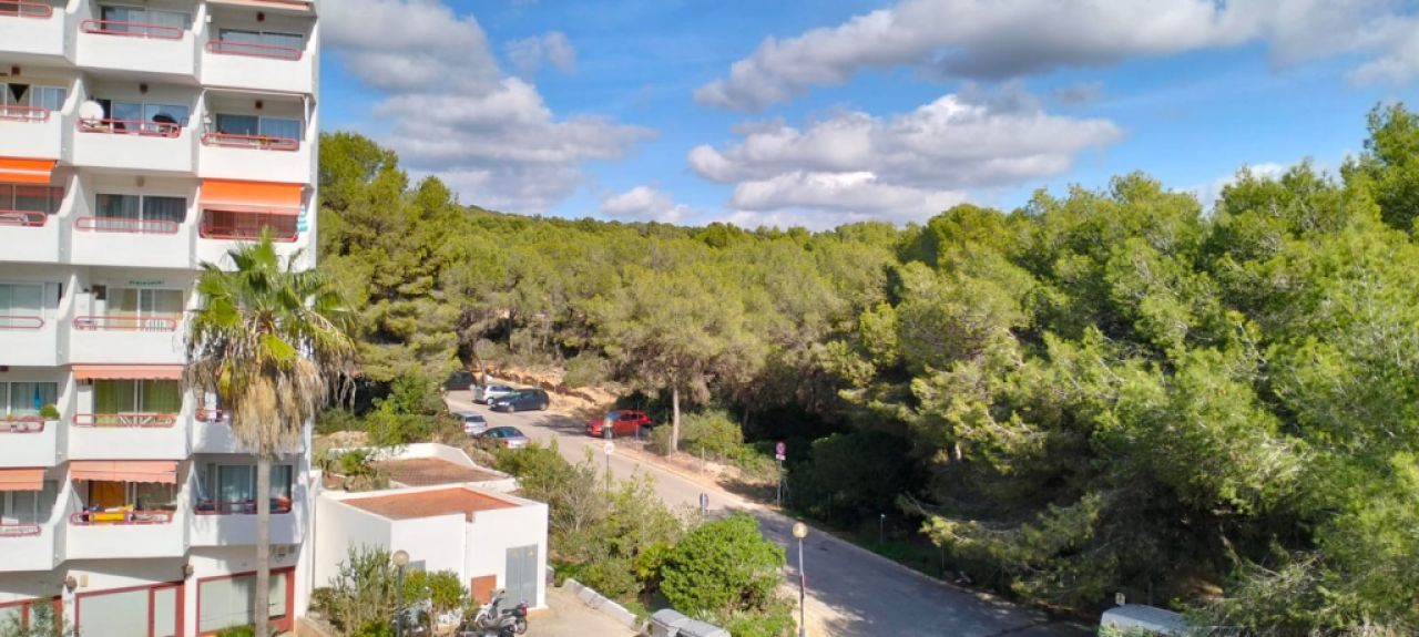 COSTA DE LA CALMA (SANTA PONSA): Renovierungsbedürftiges Studio fussläufig zum Strand