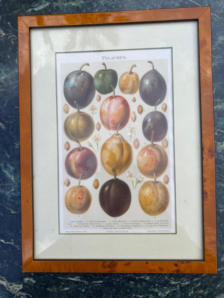 DEKO Bild mit Holzrahmen Motiv Pflaumen