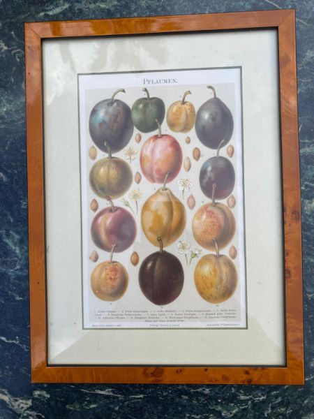 Cuadro decorativo con marco de madera, motivo ciruelas