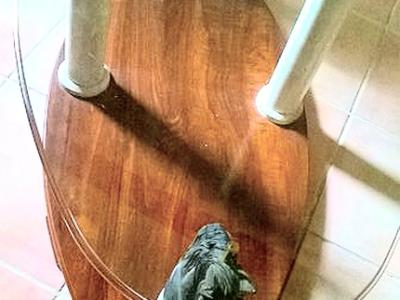 Mesita de caballo de diseño, madera, cristal, motivos de bronce, columnas de mármol