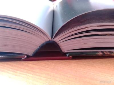 La sabiduría del budismo día a día