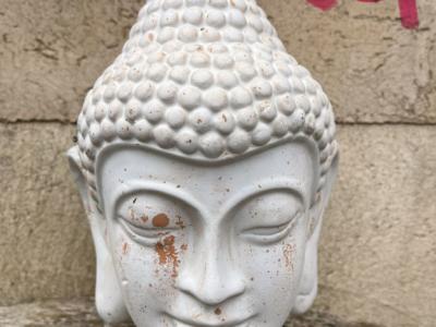 Varios para el hogar y el jardín