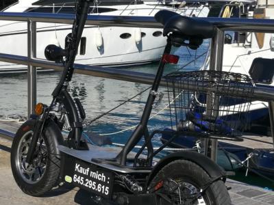 E-scooter "Revoluzzer 2.0 plus" con batería de litio