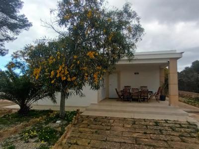 Chalet moderno y de una sola planta con 5 habitaciones en Cala Llombards -- CH 20