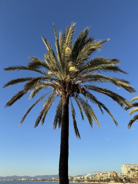 Eigentlich fehlst nur noch Du......