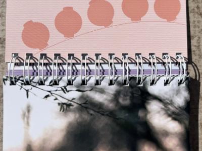 Un despliegue en espiral que trae buenos deseos todos los días