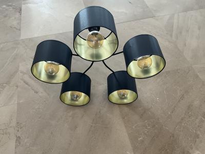 Una lámpara colgante y una lámpara de techo para regalar