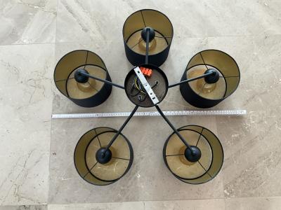 Una lámpara colgante y una lámpara de techo para regalar