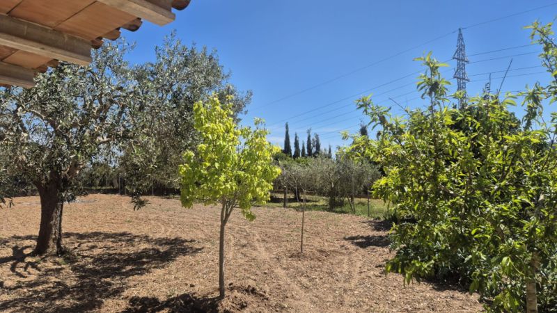 Vivienda unifamiliar en alquiler en la colina de Manacor – Zona Rafa Nadal