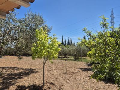 Vivienda unifamiliar en alquiler en la colina de Manacor – Zona Rafa Nadal