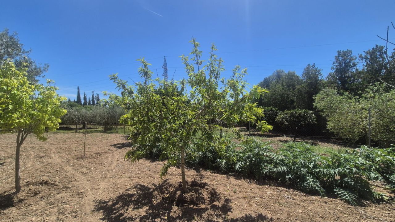 Vivienda unifamiliar en alquiler en la colina de Manacor – Zona Rafa Nadal