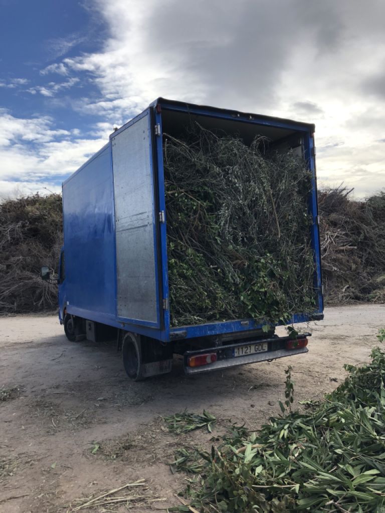 Entleerung, Demontage und Abbruch. Leerung, Räumung und Abbruch.