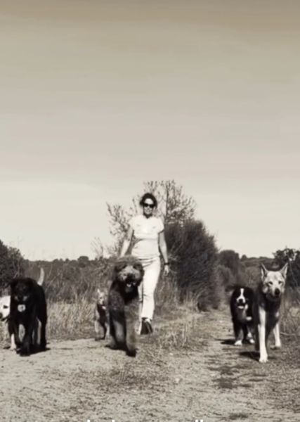 Educación canina en el sureste de Mallorca