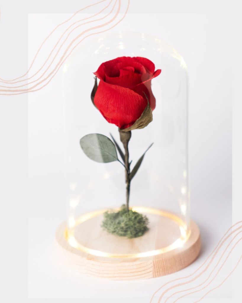 Eternal paper rose under glass dome with LED light