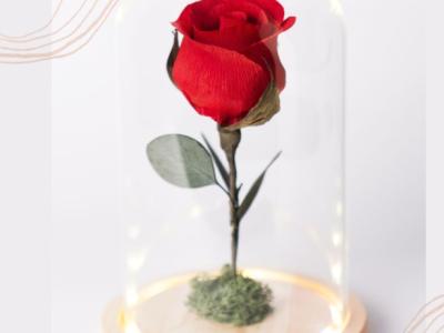Eternal paper rose under glass dome with LED light