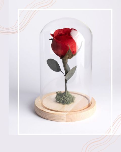 Eternal paper rose under glass dome with LED light