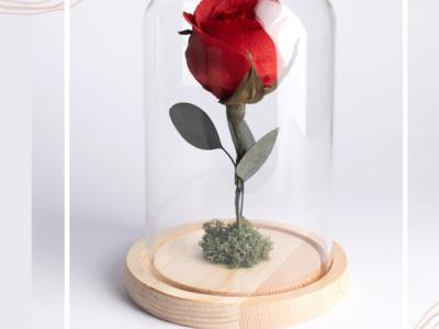 Eternal paper rose under glass dome with LED light