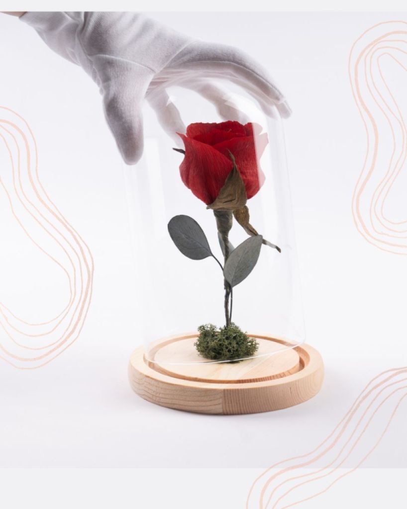 Eternal paper rose under glass dome with LED light