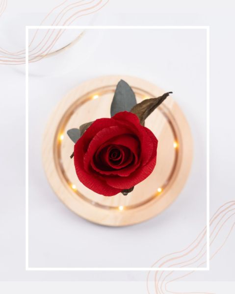 Eternal paper rose under glass dome with LED light