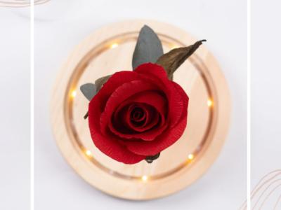 Eternal paper rose under glass dome with LED light