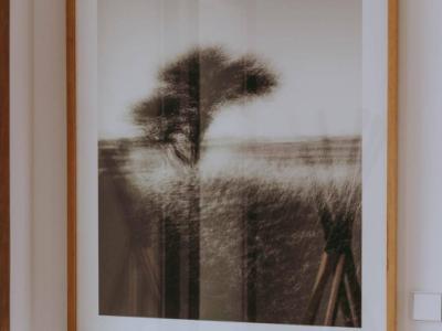 Exklusive Neubauvillen zwischen Binissalem und Alaró