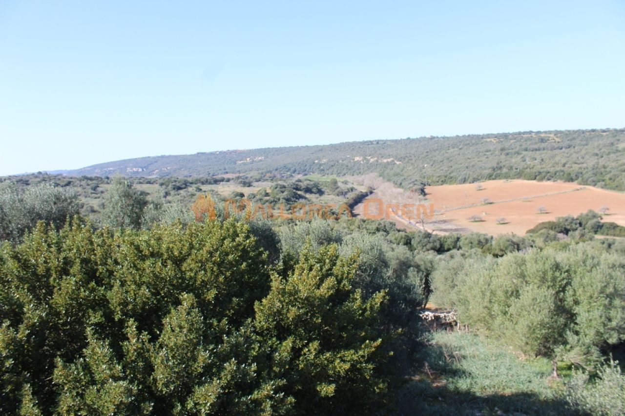 Se vende fantástica casa con apartamento de invitados entre Manacor y Alcudia