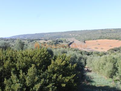 Se vende fantástica casa con apartamento de invitados entre Manacor y Alcudia