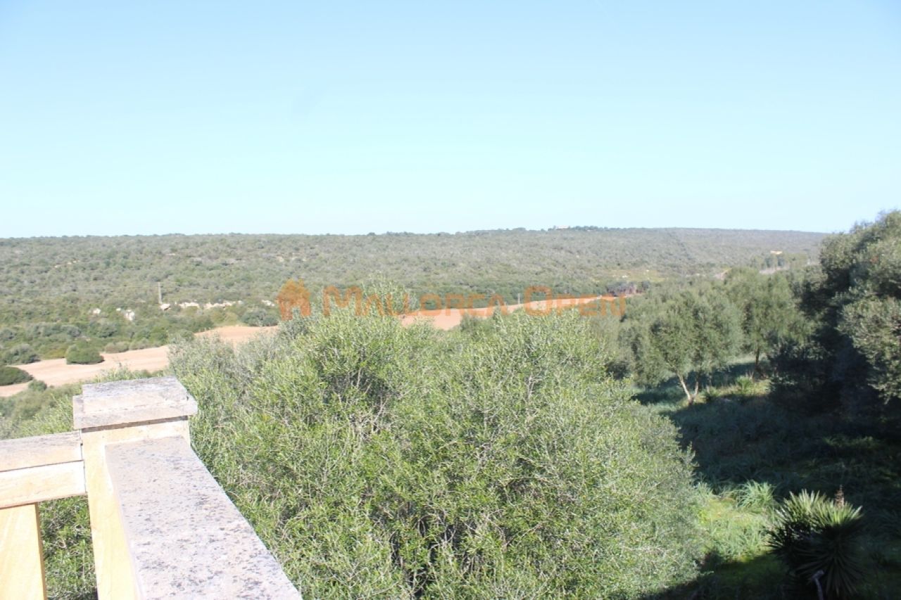 Se vende fantástica casa con apartamento de invitados entre Manacor y Alcudia