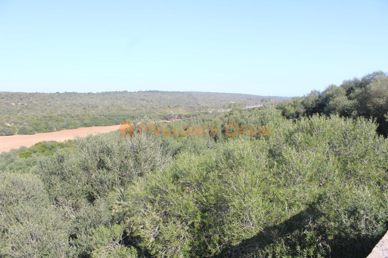 Se vende fantástica casa con apartamento de invitados entre Manacor y Alcudia