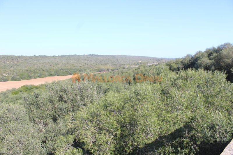 Se vende fantástica casa con apartamento de invitados entre Manacor y Alcudia