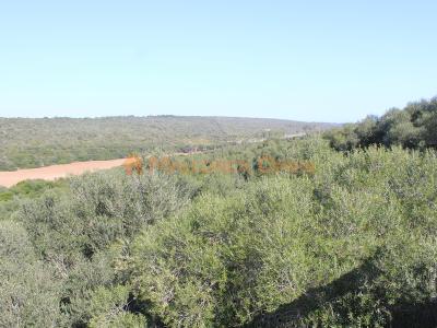 Se vende fantástica casa con apartamento de invitados entre Manacor y Alcudia