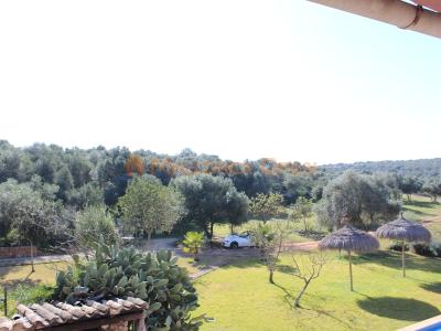 Se vende fantástica casa con apartamento de invitados entre Manacor y Alcudia