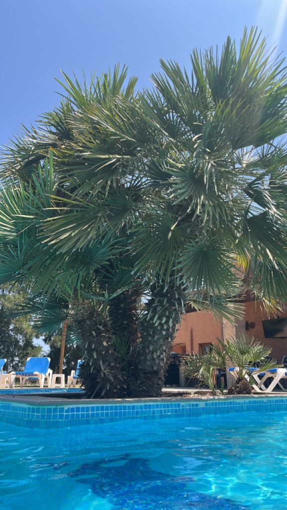 Alquiler de Finca y Apartamento Vacacional