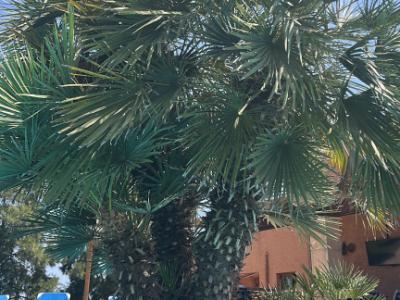 Alquiler de Finca y Apartamento Vacacional