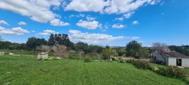Finca zum Verkauf 3 km von Manacor